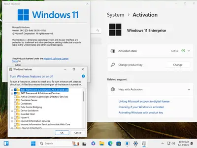 Windows 11 Pro/Enterprise 24H2 Build 26100.4351 (No TPM Required) Preactivated Multilingual June 2025