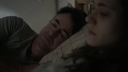Shameless S06E06