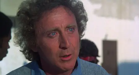 Stir Crazy (1980)