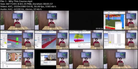 Navisworks Manage - from Beginner to Advanced