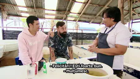 Press S03E11