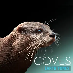 Bleeding Fingers - Earth Tones- Coves (2024) [Official Digital Download]