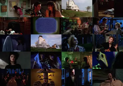 Beetlejuice (1988) [Open Matte]