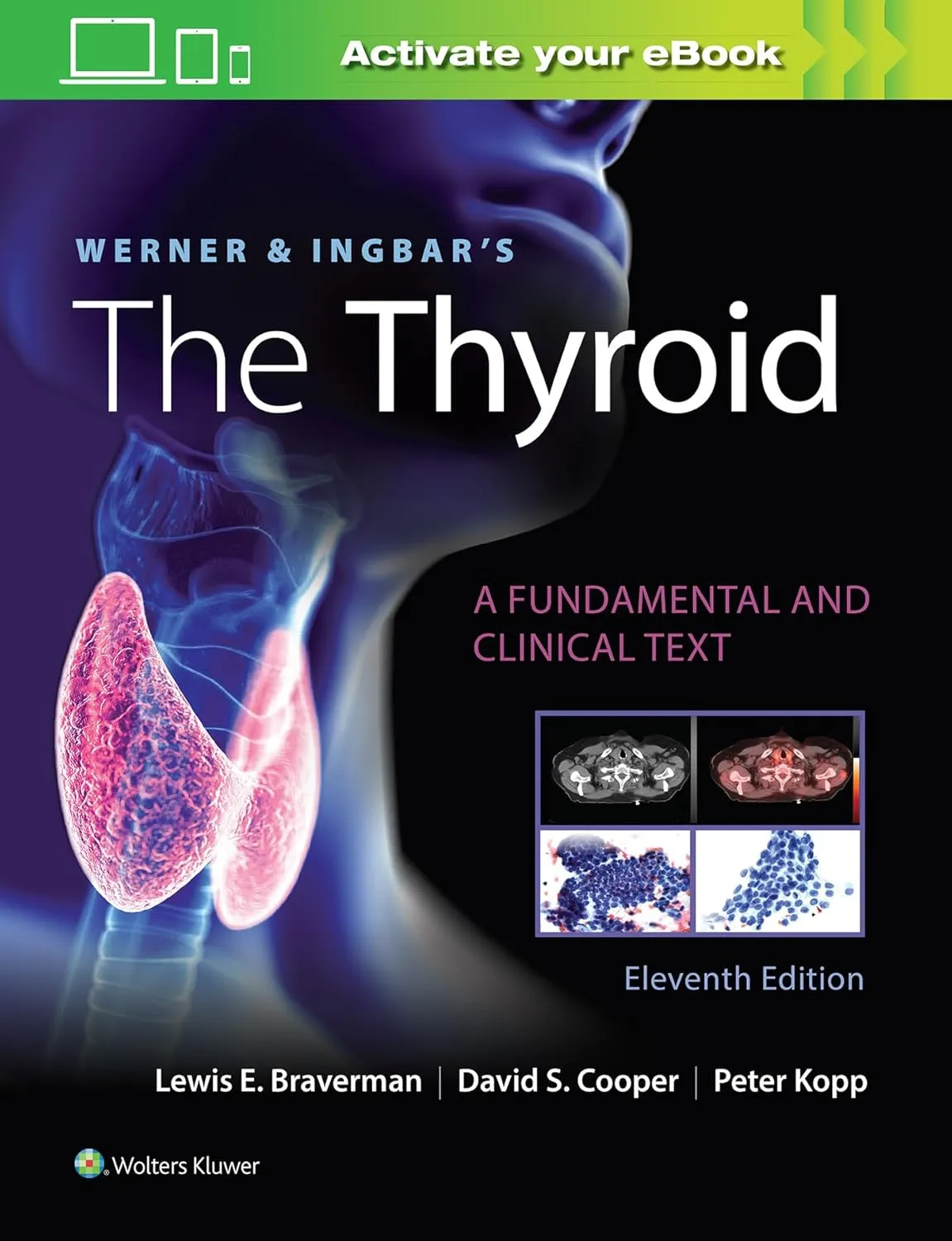 Werner & Ingbar's The Thyroid (Werner and Ingbars the Thyroid)
