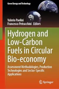 Hydrogen and Low-Carbon Fuels in Circular Bio-economy