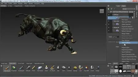 Mudbox 2013 Essential Training