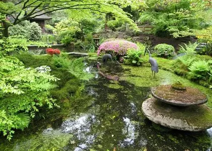 Photos on a theme the Japanese Garden