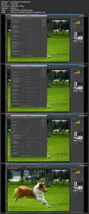 How to Customize Photoshop Like a Pro!