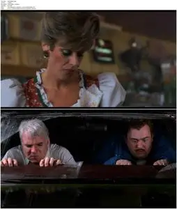 Planes, Trains and Automobiles (1987)