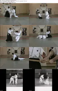 Ah Loi Lee - Aikido Advanced Level Vol 3 - Koryu Dai Roku