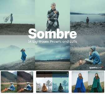 14 Sombre Lightroom Presets and LUTs