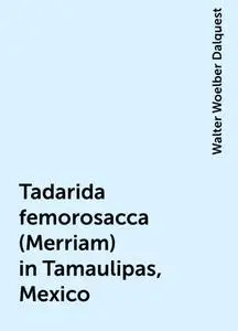 «Tadarida femorosacca (Merriam) in Tamaulipas, Mexico» by Walter Woelber Dalquest