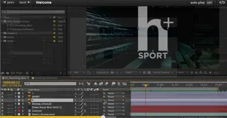 After Effects CC Essential Training (repost)