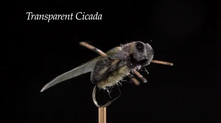 Wide Open - The Fish & The Fly 3 - Terrestrial (2010)