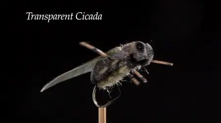 Wide Open - The Fish & The Fly 3 - Terrestrial (2010)