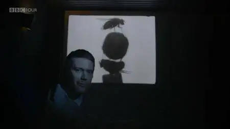 BBC - Edwardian Insects on Film (2013)