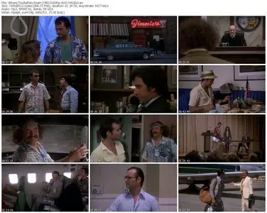 Where the Buffalo Roam (1980)