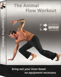 Animal Flow Workout (2011)