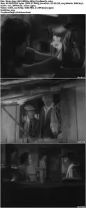 Stray Dog (1949) [Reuploaded]