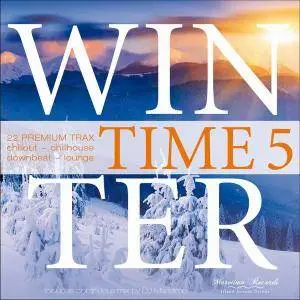 V.A. - Winter Time 5 (22 Premium Trax: Chillout, Chillhouse, Downbeat, Lounge) (2017)