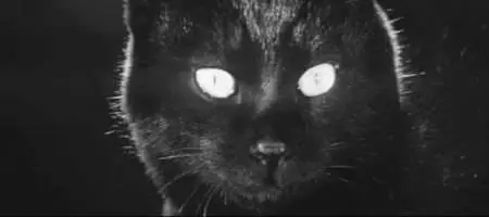 Kaneto Shindô-Yabu no naka no kuroneko (1968)