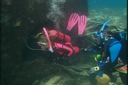 PADI - Wreck SCUBA Diving