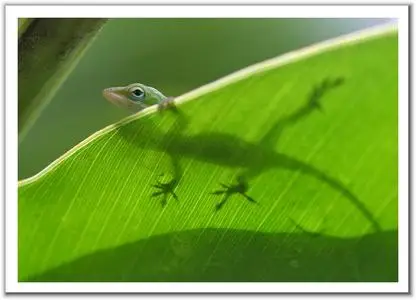 Фотографии разных авторов