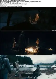 The Grey (2011)