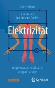 Alles Leben hat nur eine Quelle: Elektrizität: Biophysikalische Abläufe kompakt erklärt