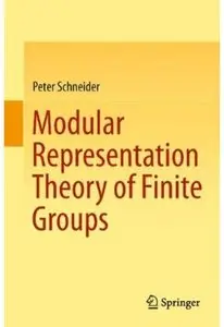 Modular Representation Theory of Finite Groups [Repost]