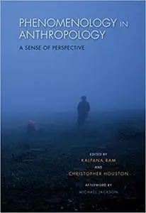Phenomenology in Anthropology: A Sense of Perspective