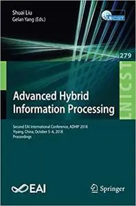 Advanced Hybrid Information Processing (Repost)