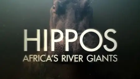 BBC Natural World - Hippos: Africa's River Giants (2019)