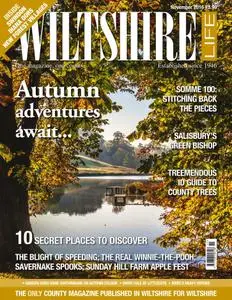 Wiltshire Life - November 2016