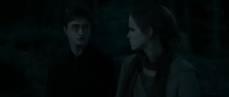Harry Potter et les reliques de la mort – partie 1 (2010) (Re-post)