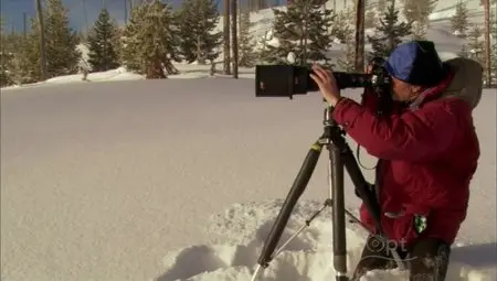 PBS Nature - Christmas in Yellowstone (2006)