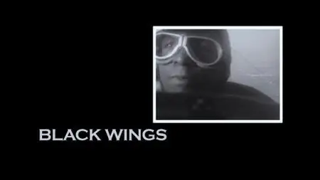 Smithsonian Channel - Black Wings (2011)