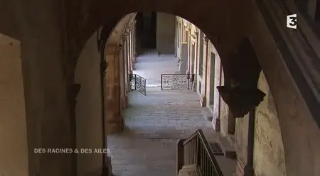 (Fr3) Des racines et des ailes - Passion patrimoine, des Vosges au lac Léman (2015)