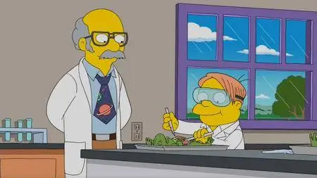 The Simpsons S28E18 (2017)