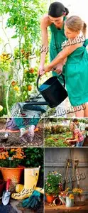 Stock Photo - Gardening