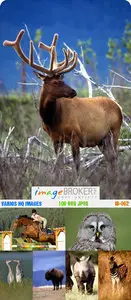 ImageBroker | IB-062 | Varios HQ Images