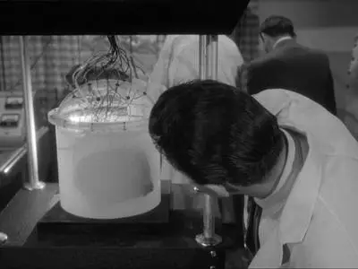 The Outer Limits S02E15