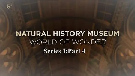 CH.5 - Natural History Museum World of Wonder: Series 1 Part 4 (2021)