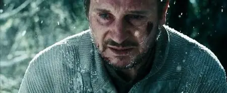 The Grey (2011)