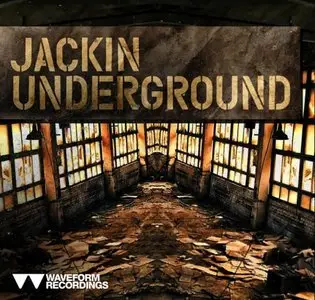 Waveform Recordings Jackin Underground (WAV)