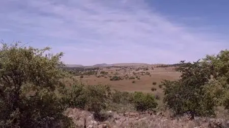 Curiosity TV - Breakthrough: Little Foot Exploring Our Origins (2019)