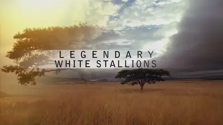 PBS - Legendary White Stallions (2013)