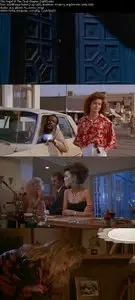Angel III: The Final Chapter (1988) 