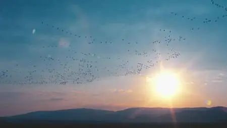 A World of Calm S01E03