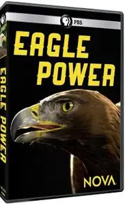 PBS - NOVA: Eagle Power (2020)